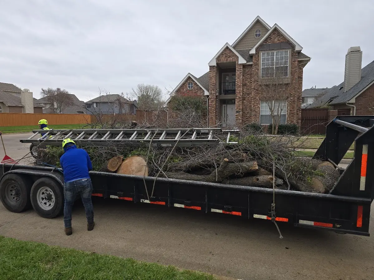 Expert Lot Clearing with proper safety equipment in Leroy
